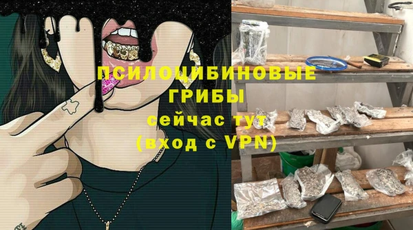 стафф Елизово