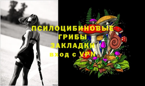 стафф Елизово