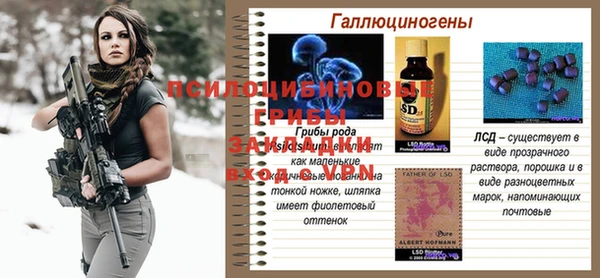 мескалин Елабуга