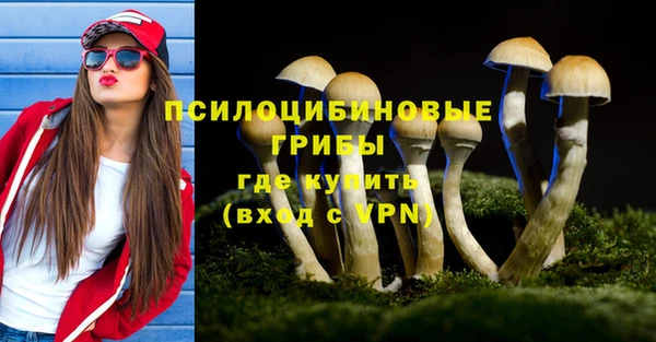 стафф Елизово