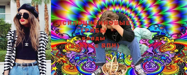 мескалин Елабуга