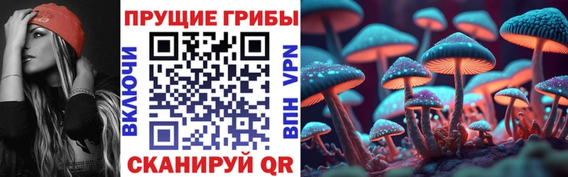 Галлюциногенные грибы MAGIC MUSHROOMS  Купить где  Кирсанов 
